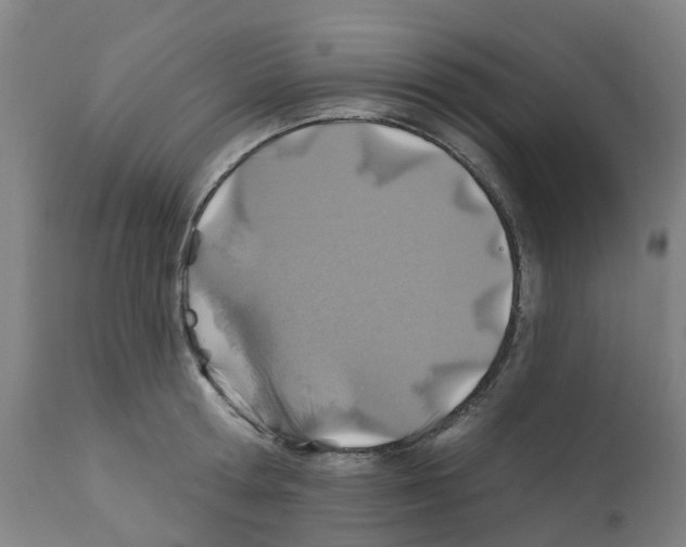 X0000112390802200909241237