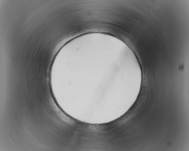 X0000112390803200909241237