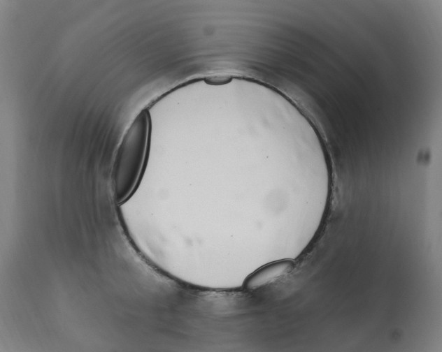 X0000112390805200909241237