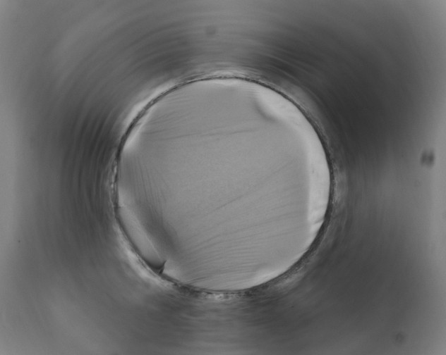 X0000112390806200909241237