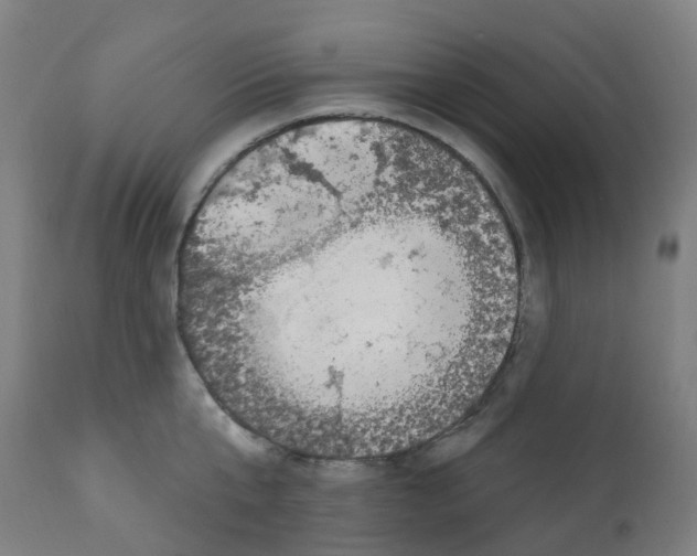 X0000112390807200909241237