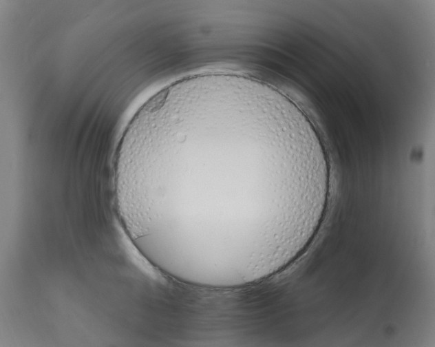 X0000112390808200909241237