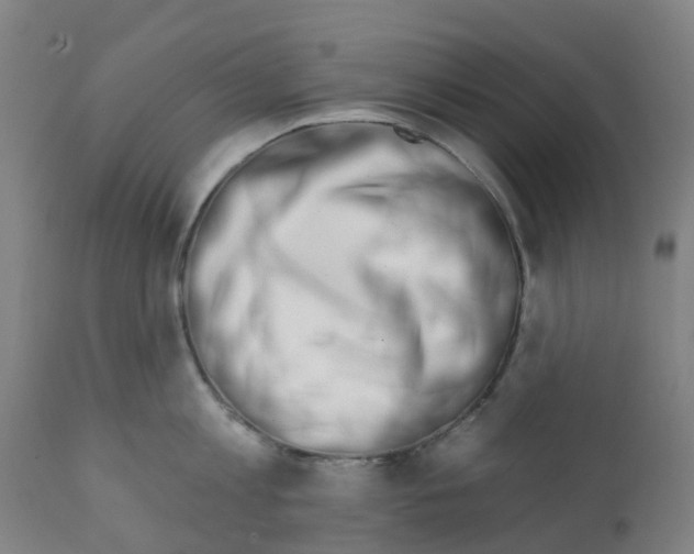 X0000112390813200909241237