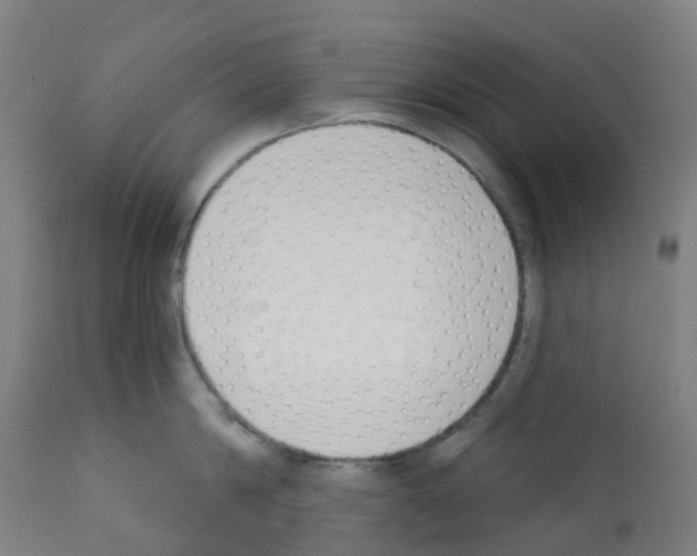 X0000112390814200909241237