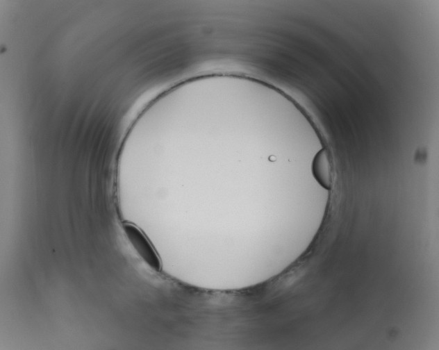 X0000112390815200909241237