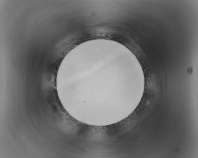 X0000112390820200909241236