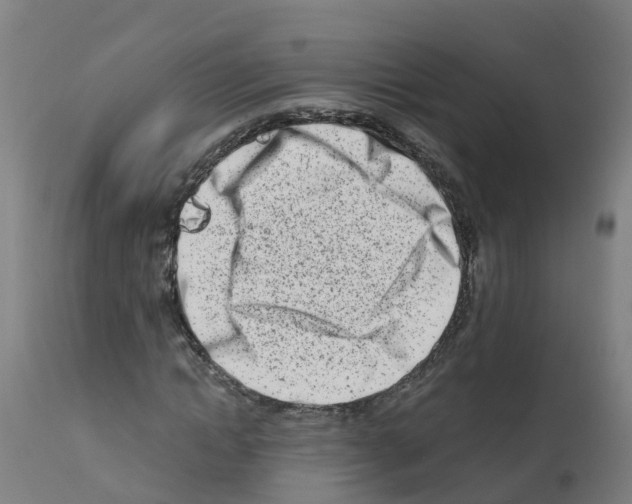 X0000112390822200909241236
