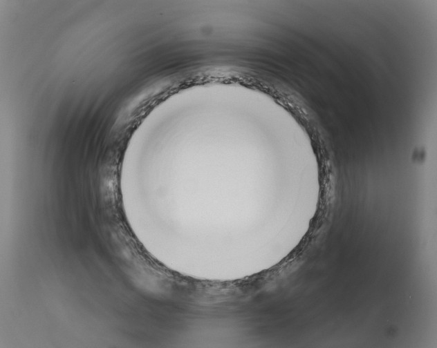 X0000112390824200909241236
