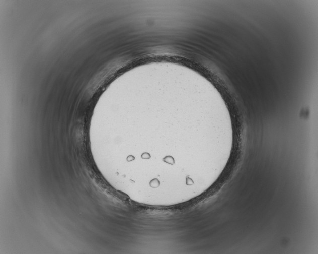 X0000112390825200909241236