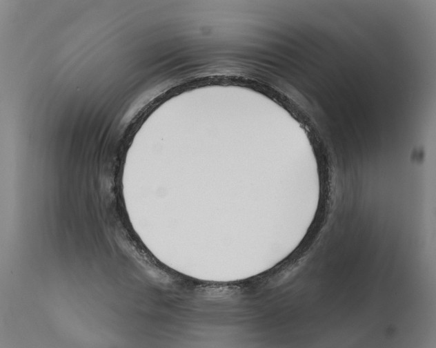 X0000112390826200909241236