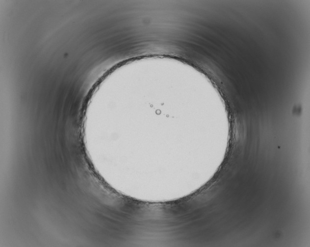 X0000112390828200909241236