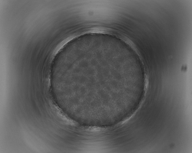 X0000112390829200909241236