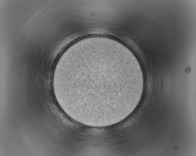 X0000112390831200909241236