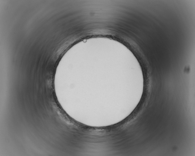 X0000112390833200909241236