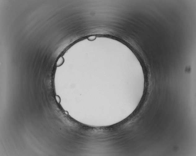 X0000112390834200909241236