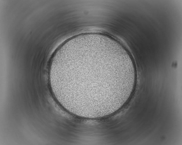 X0000112390835200909241236