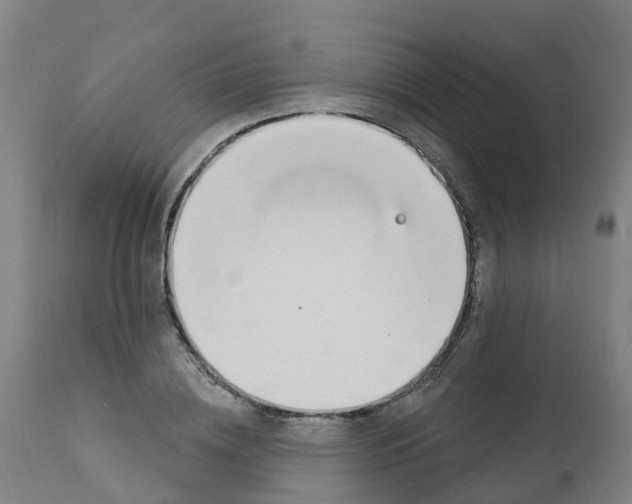 X0000112390836200909241236