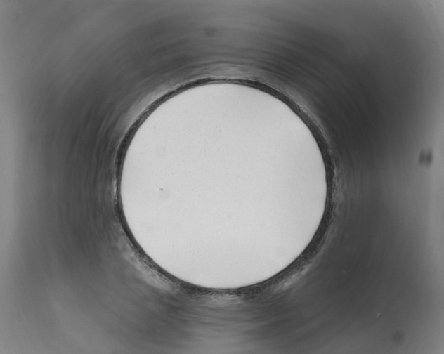 X0000112390837200909241236