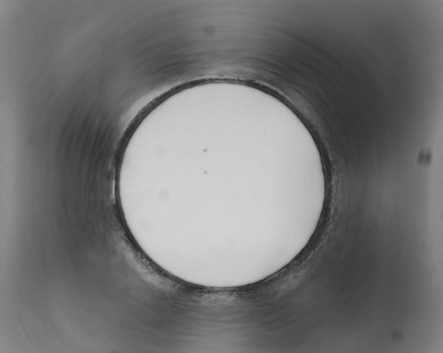 X0000112390838200909241236