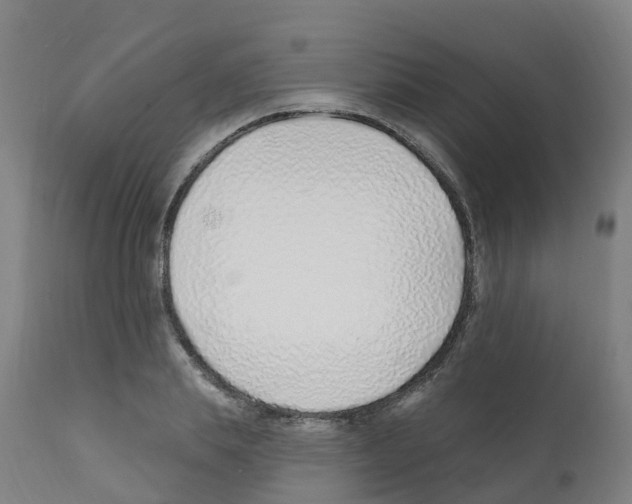 X0000112390839200909241236
