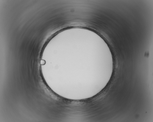 X0000112390840200909241236