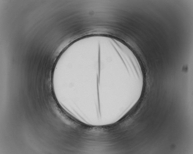 X0000112390842200909241237