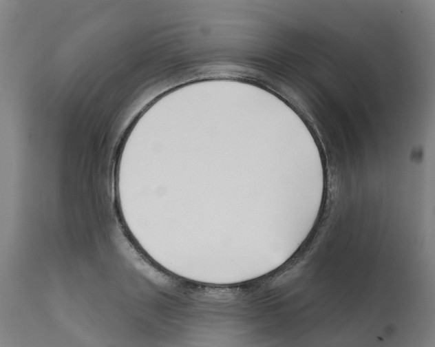 X0000112390843200909241237