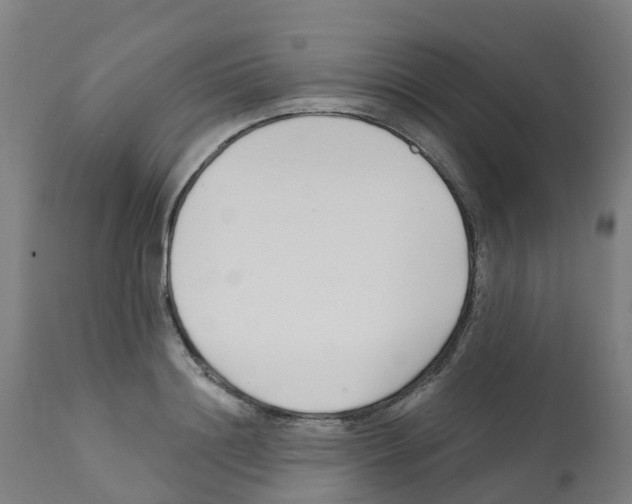X0000112390844200909241237