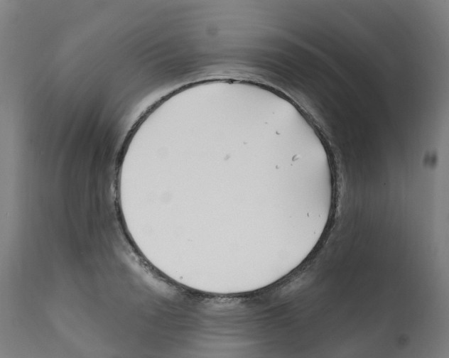 X0000112390846200909241237
