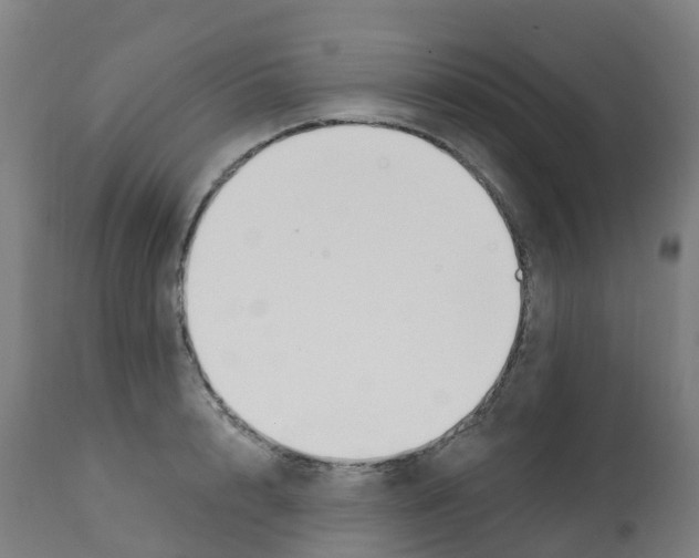 X0000112390848200909241237