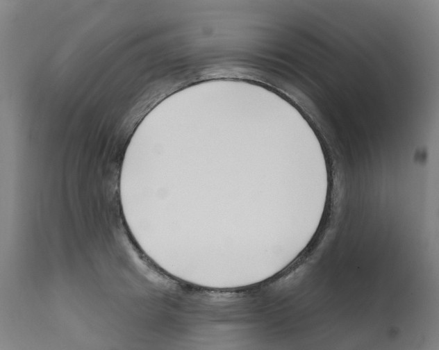 X0000112390849200909241237