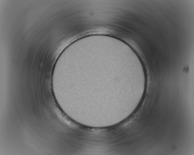 X0000112390850200909241237