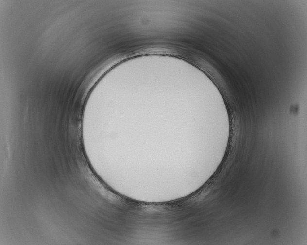 X0000112390852200909241237
