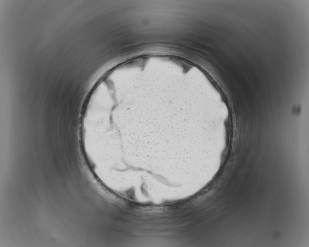 X0000112390853200909241237