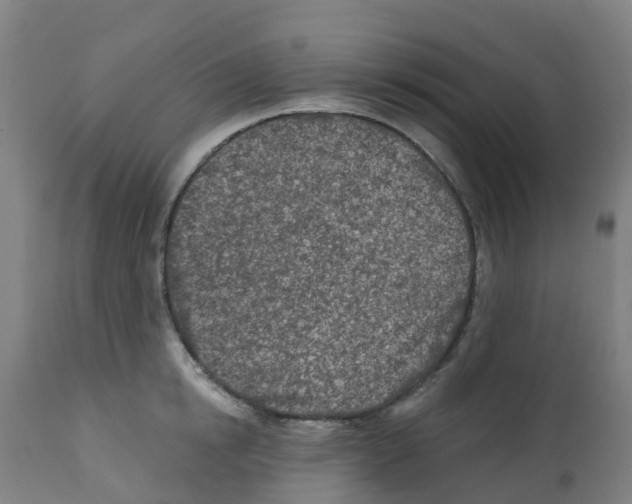 X0000112390854200909241237