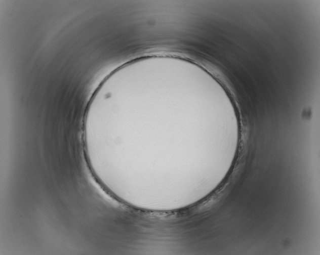 X0000112390855200909241237