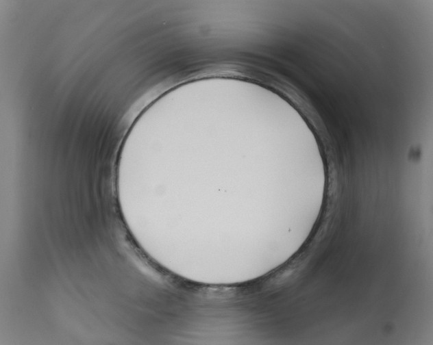 X0000112390858200909241237