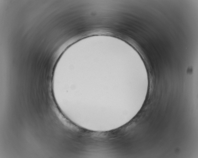 X0000112390861200909241237