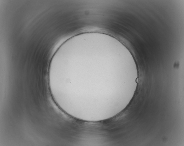 X0000112390863200909241237