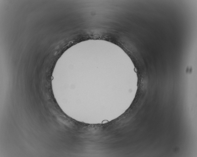 X0000112390865200909241236