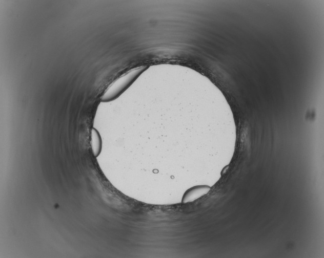 X0000112390868200909241236