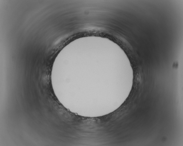 X0000112390869200909241236