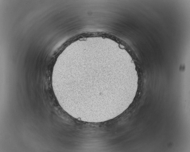 X0000112390871200909241236