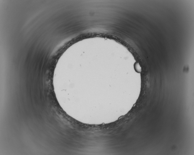 X0000112390872200909241236