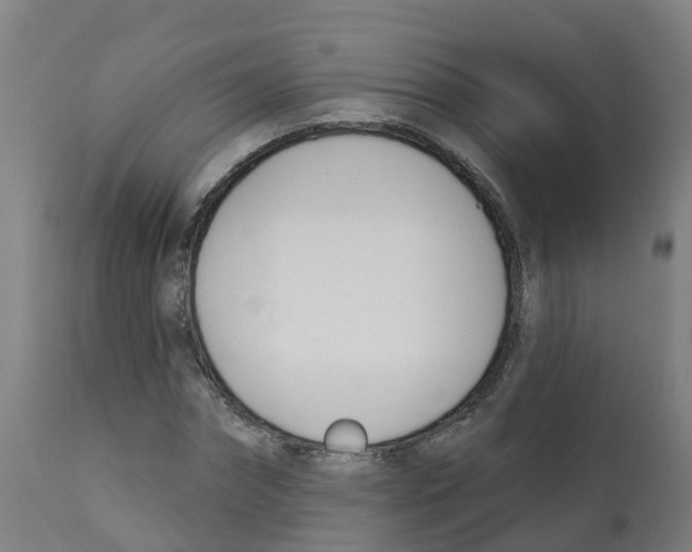 X0000112390874200909241236