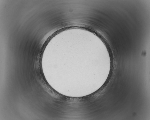 X0000112390875200909241236