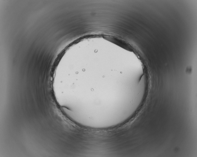 X0000112390876200909241236