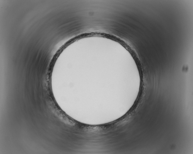 X0000112390879200909241236