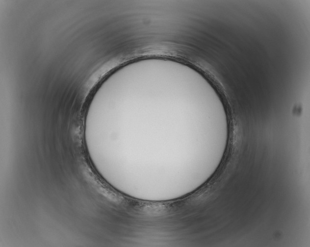 X0000112390882200909241236