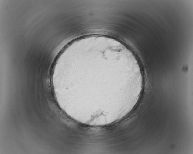 X0000112390883200909241236